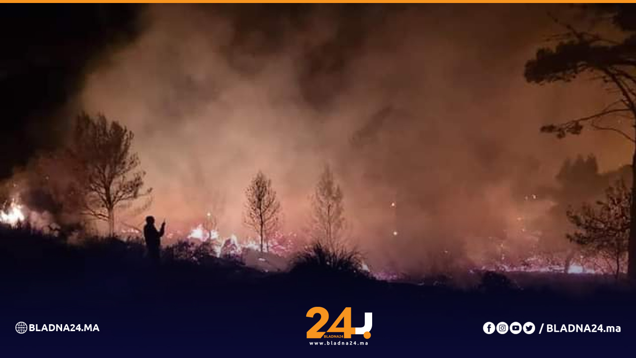 حريق مهول بإحدى غابات إقليم الدريوش يستنفر السلطات