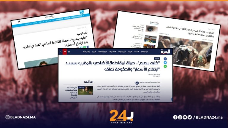 "خليه يبعبع".. حملة مقاطعة أكباش العيد تصل للإعلام الدولي