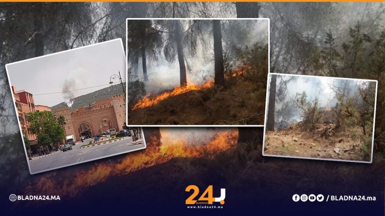 اندلاع حريق مهول في غابة نواحي دمانت