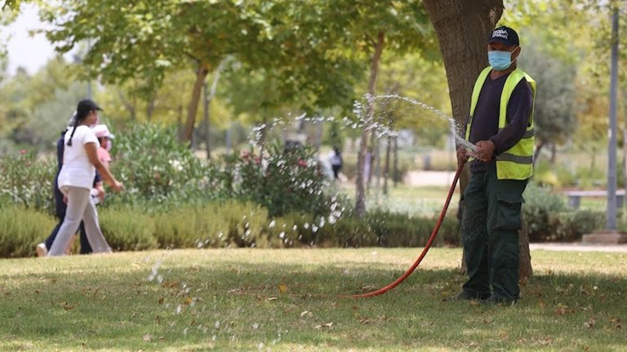 Watering green spaces with drinking water