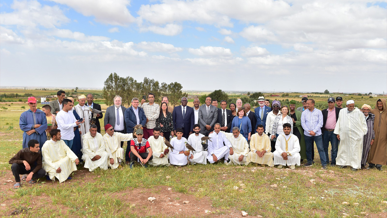 Accredited ambassadors from Morocco visit El Jadida