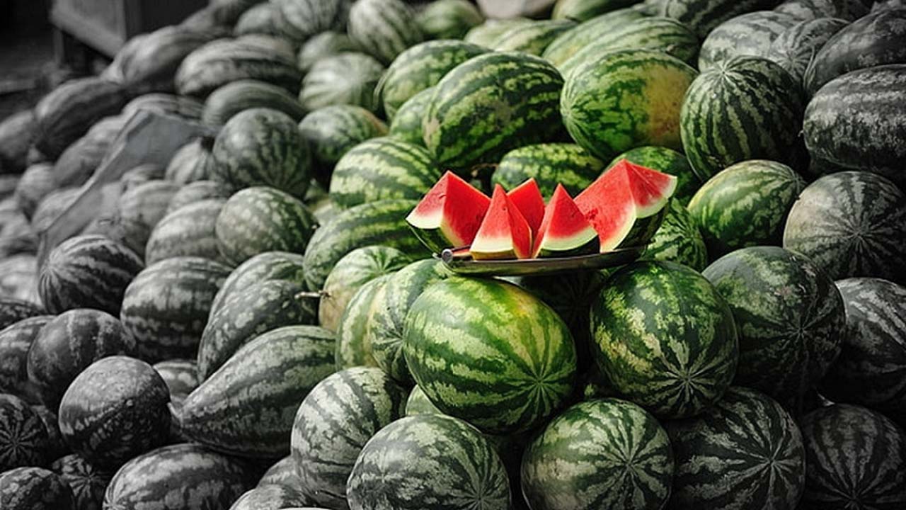 Quality and geographical distance prevent the watermelon professionals in Mauritania and Senegal from filling the gap left by Morocco in the market