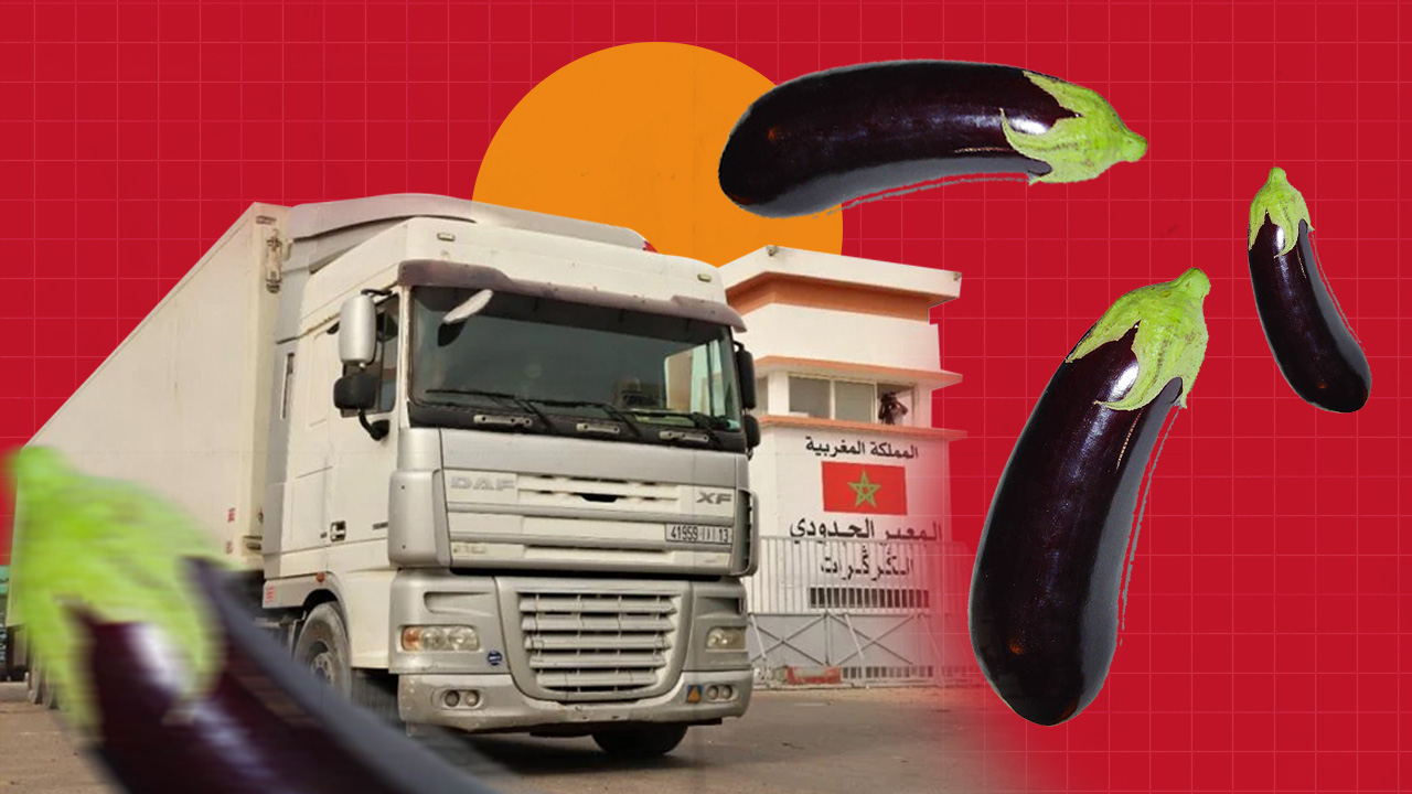 Mauritania is the main destination for Moroccan eggplant exports in 2023