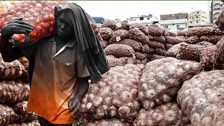 Re exporting potatoes and onions to Africa at their prices in national markets