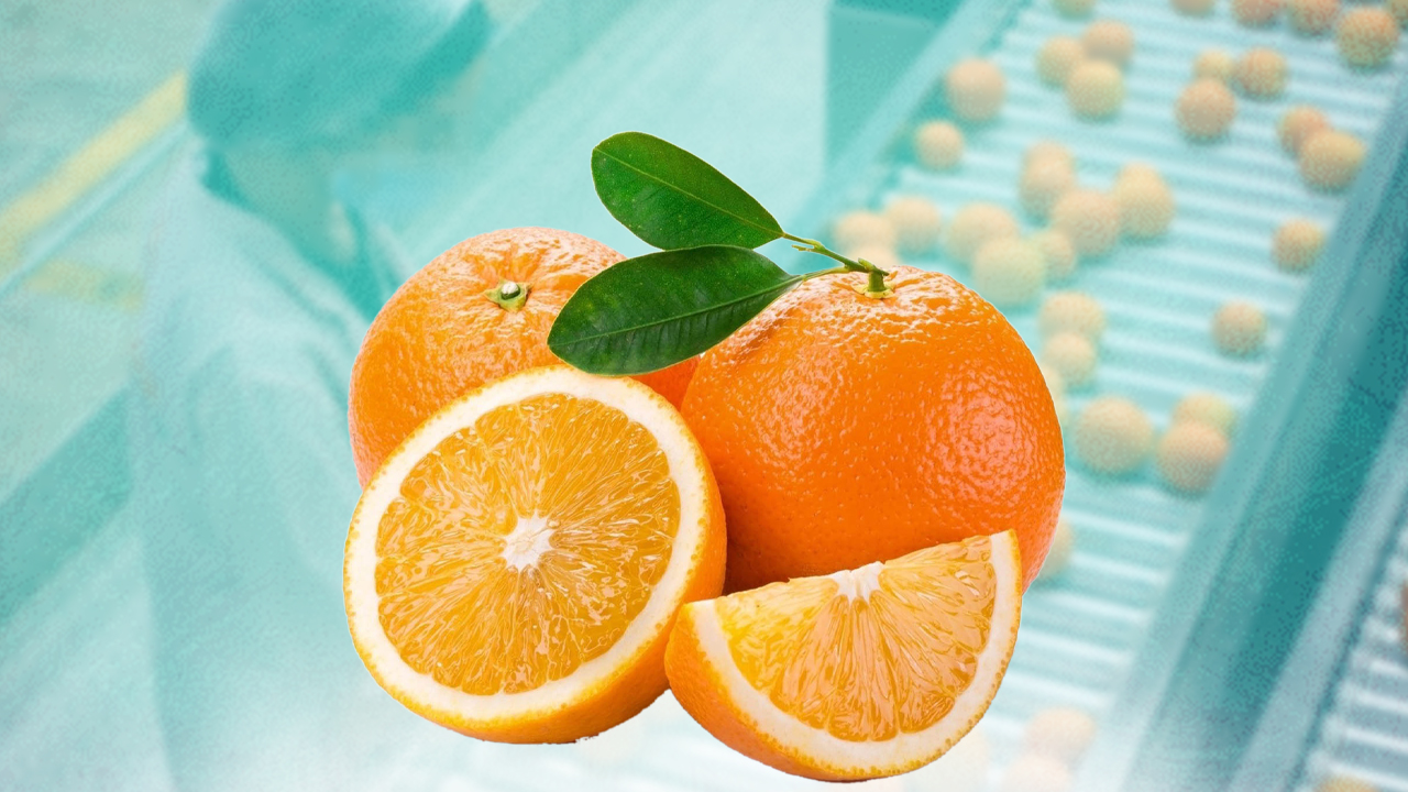 Spain deprives Moroccan orange exports from the American market