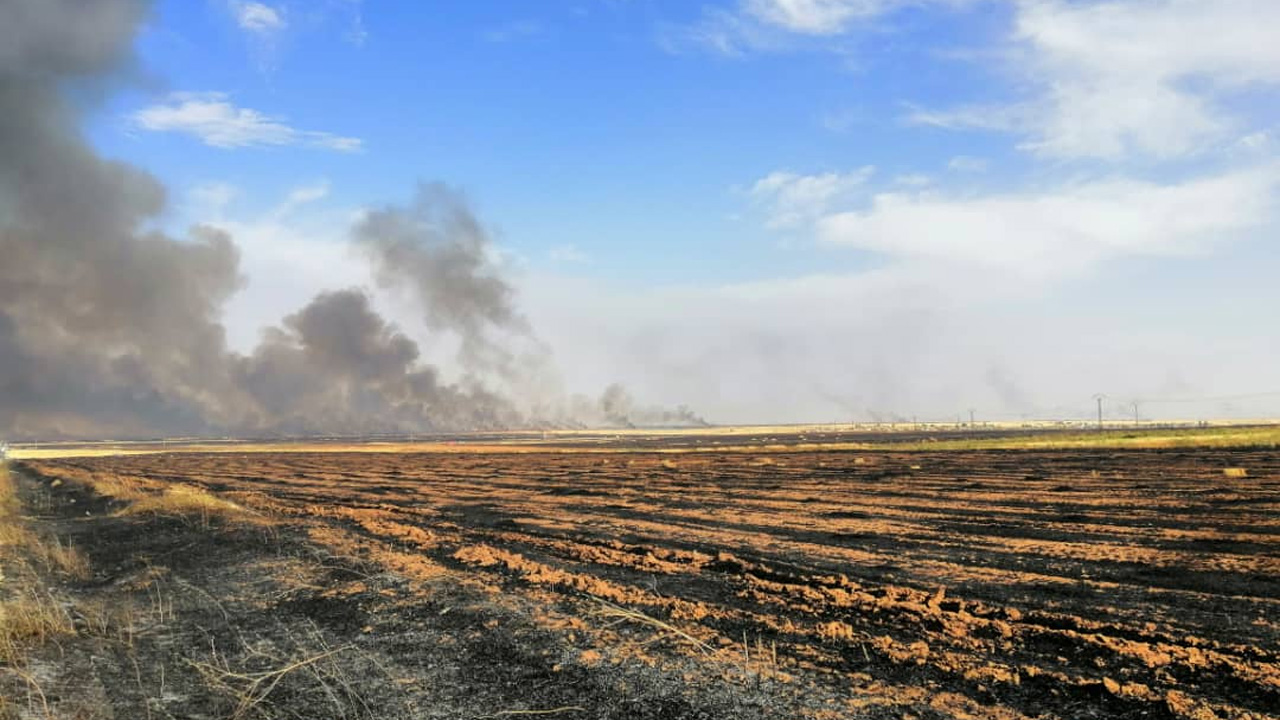 Fire breaks out in agricultural field causes power outage in Beni Mellal