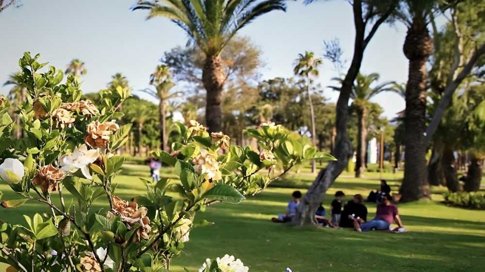 Green spaces Morocco